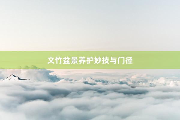 文竹盆景养护妙技与门径