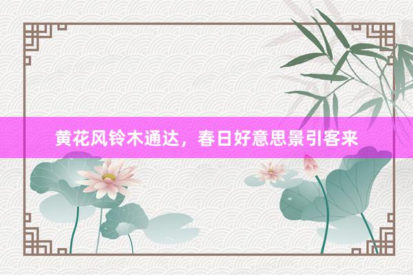 黄花风铃木通达，春日好意思景引客来