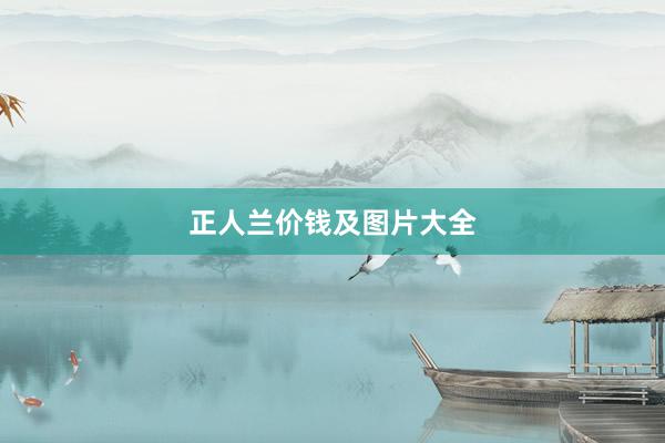 正人兰价钱及图片大全