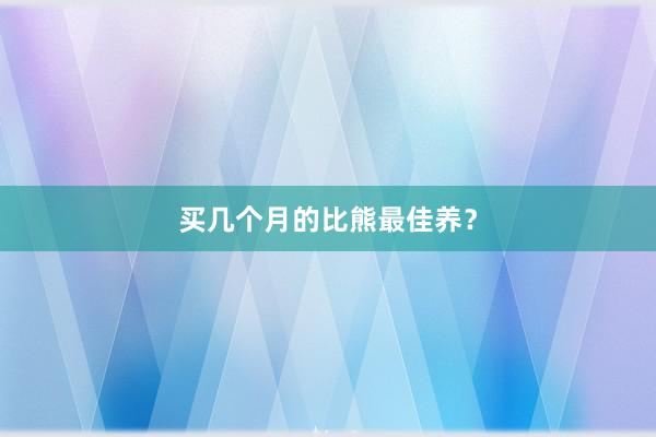 买几个月的比熊最佳养？